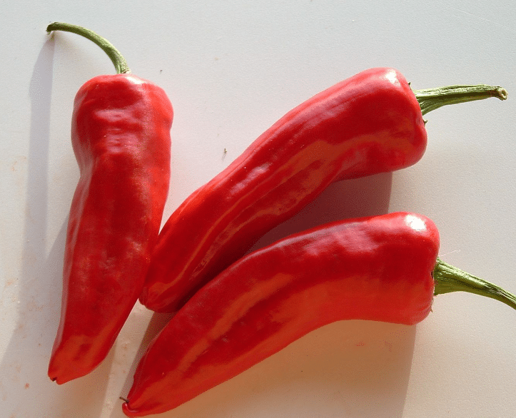 Piment d’Espelette