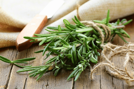 thym et romarin